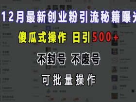 12月最新创业粉引流秘籍曝光 傻瓜式操作 日引500+ 不封号 不废号 可批量操作【揭秘】-天天学吧