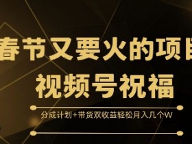 春节又要火的项目视频号祝福，分成计划+带货双收益，轻松月入几个W【揭秘】-天天学吧